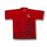 CZECH lev červený fotbalový dres s vlastním potiskem